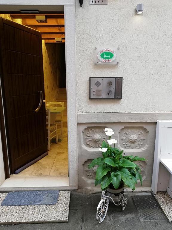 B & B San Domenico Chioggia Kültér fotó